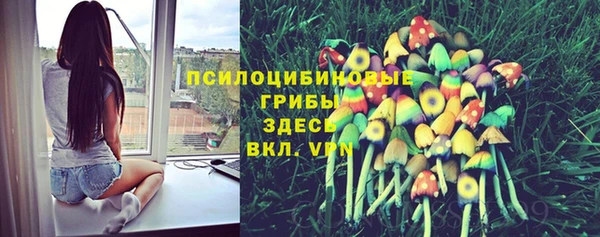 не бодяженный Алексин