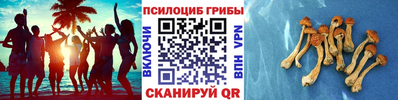 Галлюциногенные грибы MAGIC MUSHROOMS Алзамай
